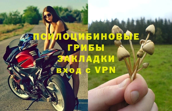 хмурый Абаза