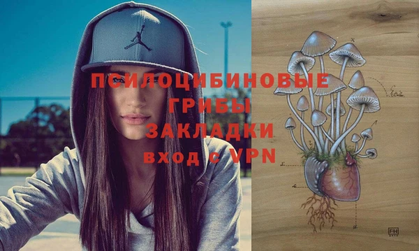 МДПВ Абинск