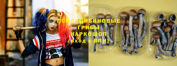 МДПВ Абинск