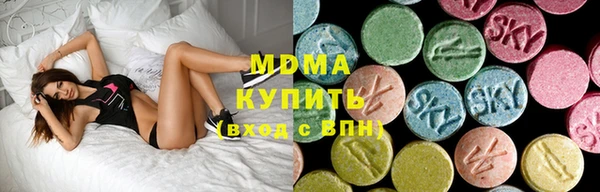 хмурый Абаза