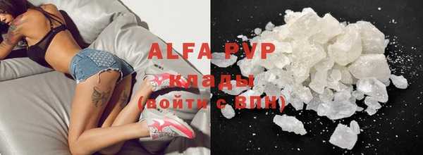 хмурый Абаза
