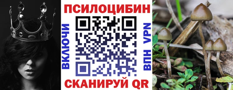 Галлюциногенные грибы ЛСД  где найти наркотики  Урень 
